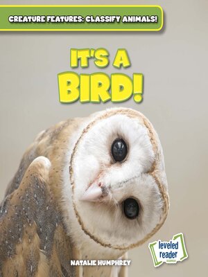 cover image of It's a Bird!